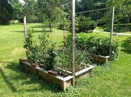 We did not find results for: Rocommendations For A Good Garden Twine For A Trellis