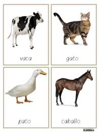 Tarjetas De Animales De La Granja En Espanol Ideales Para Agregar A Tu Curriculum Mont Animais Domesticos E Selvagens Materiais Montessori Fotos De Animais