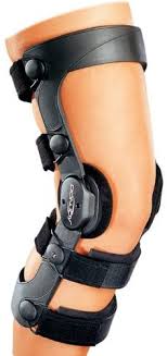 It runs diagonally through the inside of the knee and gives the knee joint stability. Amazon Com Donjoy Legend Se 4 Knee Support Brace Acl Anterior Cruciate Ligament Left Leg Medium Health Personal Care