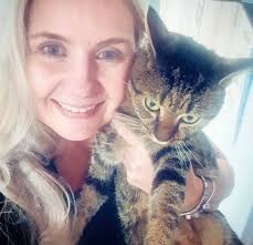 Lost cat Bugs in Durban North near Blackburn Road