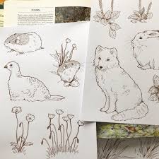 Pin By E Ae C On Cool Easy Drawing In 2020 Nature Drawing Study Biology Cool Easy Drawings
