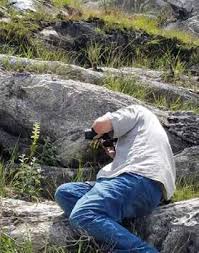 Image result for Habenaria livingstoniana