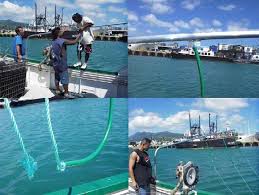 290 фраз в 48 тематиках. B Installing A Bird Curtain For Use During Setting Top Left Download Scientific Diagram