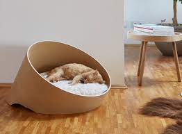 pin em idees pour chat