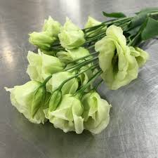 Austin is home to an excellent collection of florists, flower shops, and leading floral design studios. Austin Flower Marketaustin Flower Market