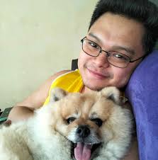 How to build a Raiden team?