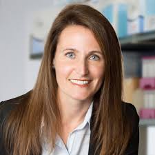 Expert team analyzing single EVs