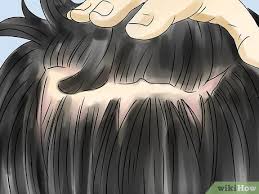 Learn what makes an anime style haircut and how you can give hair is one of my top 5 favorite things to draw and color, and this was also a very requested tutorial. 3 Ways To Grow Your Hair Wikihow