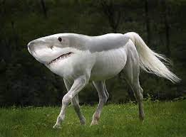 Whether these people have tried to make their bums bigger, their muscles more desirable or to show off their imaginary girlfriend, we've found some of the funniest photoshop fails we've ever come across. 15 New Animal Species Bred In Photoshop Bored Panda