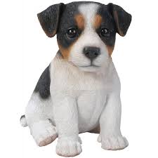 Great savings & free delivery / collection on many items. Pet Pals Jack Russell Puppy Tricolour Garden Ornaments Statues Arboretum Garden Centre