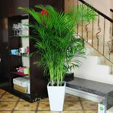 With thick and accurately designed trunks and feel real leaves spill out at various layers. Artificial Palm Tree Faux Leaves Green Plants Greenery For Flowers Decorations Buy At The Price Of 151 00 Rub In Banggood Com Imall Com