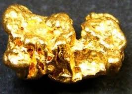 It is good for 10 years and costs $24.20. Raw Gold Nugget Discovered By Metal Detecting Goldcoins Gold Nugget Gold Prospecting Gold Bullion Bars