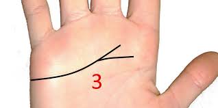 Forked Heart Line Meaning In Palmistry Palmistry Palmistry Reading Palm Reading