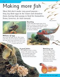 Oscars have an impeccable memory and are one of. First Animal Encyclopedia Flip Book Pages 151 170 Pubhtml5