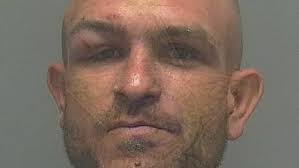 Cape Coral man who killed two in DUI crash sentenced 20 years in prison