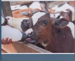 ZOOGIGIYENA VA GENETIKA