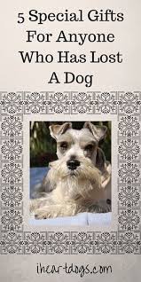 5 Special Gifts For Anyone Who Has Lost A Dog Losing A Dog Dogs Dog Gifts