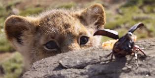 Movie Review The Lion King 2019 Tl Dr Movie Reviews And Analysis Disney's the lion king, directed by jon favreau, journeys to the african savanna, where a future king overcomes betrayal and tragedy to assume his rightful place on pride rock. movie review the lion king 2019