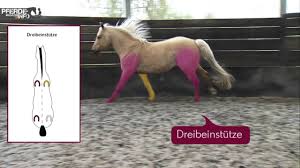 Hochwertige grußkarten mit galopp motiv ● von künstlern designt und verkauft ● für geburtstag, geburt, weihnachten und mehr ● bis zu 35% rabatt. Galopp Trab Und Schritt Die Grundgangarten Beim Pferd Youtube