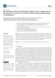 Image result for Crotalaria argyrolobioides