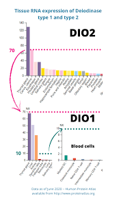 Alege dintre cele mai bune proteine din zer, ou, cazeină, soia și mazăre. Tissue Rna Expression Of Dio1 Dio2 And Dio3 Thyroid Patients Canada