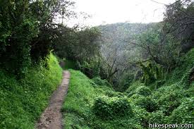 Un lugar en el que todos los animales se encuentran seguros, siendo embajadores de su propia especie. Los Liones Trail Los Angeles Hikespeak Com