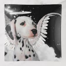 Dalmatian Dog Angel With Wings On A Cloud Trinket Trays Zazzle Com Dog Angel Dalmatian Dogs Dalmatian