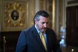 Cruz responds exclusively on 'hannity'. Ted Cruz Cancun Trip Shows He Thinks There Are No Consequences