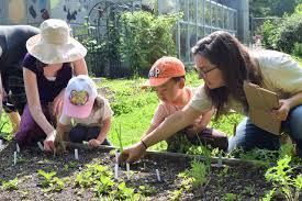 Maybe you would like to learn more about one of these? Employment Opportunities Queens Botanical Garden