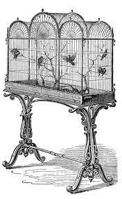 Pin By Federica Luciani On Transfer Antique Bird Cages Vintage Bird Cage Vintage Birds