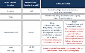 ketone levels chart mmol l bedowntowndaytona com