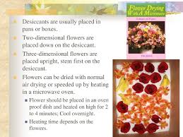 In this platform, you will find these. Using Designing With Everlasting Flowers Ppt Download