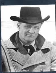 BRIAN KEITH HANDSOME STUNNING PORTRAIT 1966 ORIG VINTAGE PHOTO 285