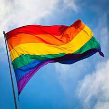 A pride flag is any flag that represents a segment or part of the lgbt community. Rectangle Rainbow Flag Large Polyester Lesbian Gay Pride Symbol Lgbt Flag Lgbt Flag Rainbow Flagflags Flags Aliexpress