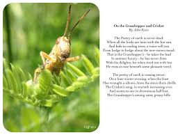 Grasshopper Photo And Keats Poem Keats Poems Never Dead Poems