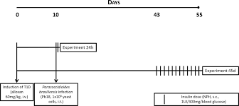 Kelipatan 8 adalah 8, 16, 24, 32, 40, 48, 56, 64, 72, 80, dan seterusnya. Frontiers Insulin Modulates Inflammatory Cytokine Release In Acute Stages And Augments Expression Of Adhesion Molecules And Leukocytes In Lungs On Chronic Stages Of Paracoccidioidomycosis Immunology