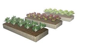 Pin By Wanru Zhao On Cs188 Raised Bed Farming Green Lettuce Urban Farming