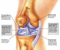 knee disorders and injuries