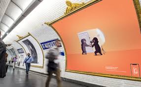 Ceux qui ne souffrent pas du mal de mer, aiment la mer et les longs voyages, peuvent choisir une croisière. Test Un Metier Yves Diegues