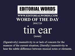 Word Of The Day Tin Ear 29oct20 In 2021 English Vocabulary Words Learn English Words English Words