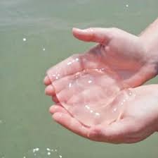 We did not find results for: Are The Jellyfish Moving In