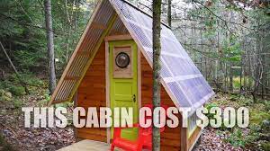 This Tiny Off Grid Cabin Was Built For Just 300 Diy Tiny House Eco House Design Cheap Tiny House