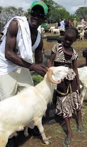 Livestock Market In Brikama The Gambia Brimstone Dreams Cultuur