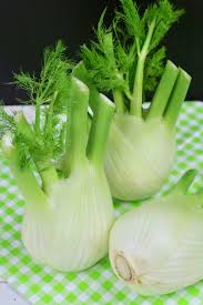 Venkel is een hoog kruid met holle stengels en gele bloemen. Venkel Monique Van Der Vloed