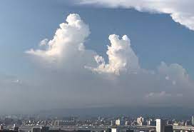動物に見える雲シリーズ | お天気の蓬莱さん