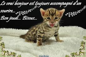 Résultat de recherche d'images pour "image bon jeudi"