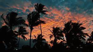 Beach Sunset In 2021 Sunset Wallpaper Beach Sunset Wallpaper Cute Desktop Wallpaper