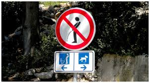 images?q=tbn:ANd9GcQJwSM5AxRKE-p4c7jPDu-