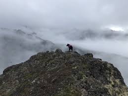 Check spelling or type a new query. 10 Dog Friendly Hikes In And Around Seattle Curbed Seattle