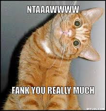 A collection of hilarious memes that will make you laugh out loud. Thank You Cat Meme Generator Ntaaawwww Fank You Really Much 5bb7cf Henry Art Gallery Blog